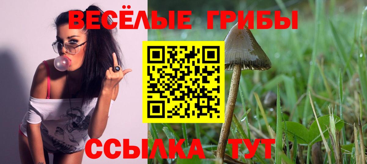 Псилоцибиновые грибы мицелий Белово