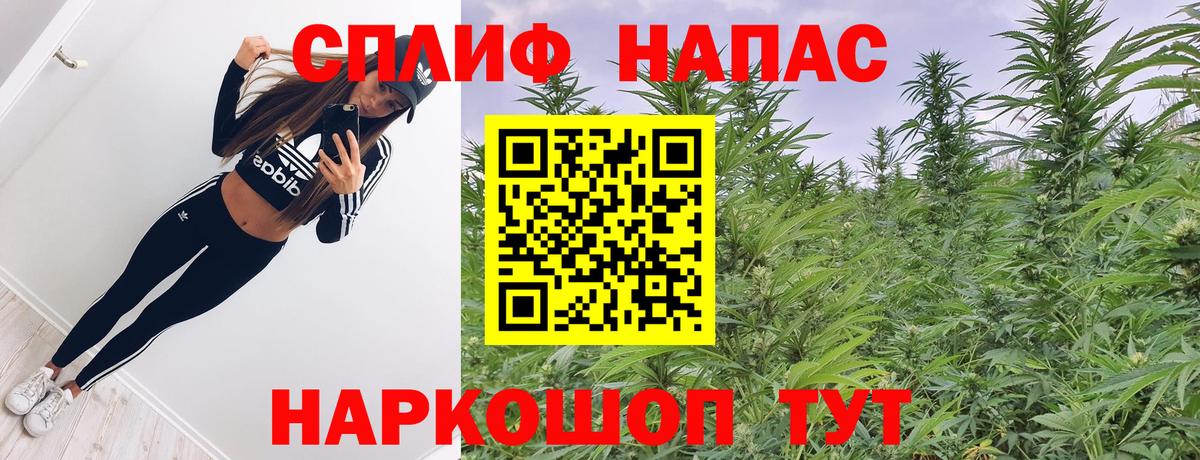 Каннабис White Widow  Конопля OG Kush  Канабис Ganja  Белово  Вход с VPN 